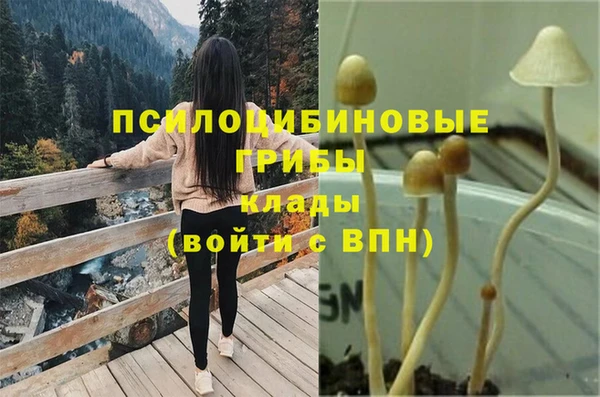 каннабис Алзамай