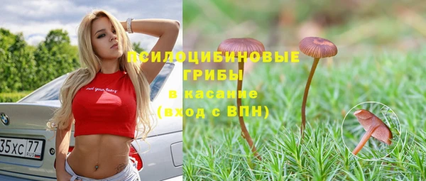 молекула духа Абдулино